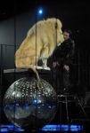 2012_03_01__02671.jpg