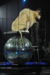 2012_03_01__02674.jpg