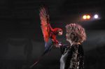 2012_03_01__03122.jpg