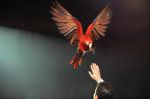 2012_03_01__03356.jpg
