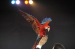 2012_03_01__03357.jpg