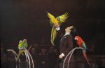 2012_03_01__03392.jpg