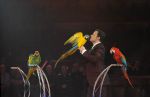 2012_03_01__03396.jpg