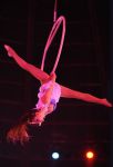 2012_03_01__03469.jpg