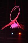 2012_03_01__03472.jpg