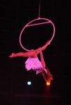 2012_03_01__03473.jpg