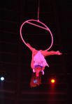 2012_03_01__03474.jpg