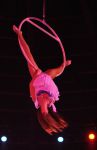 2012_03_01__034750.jpg