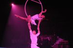2012_03_01__03486.jpg