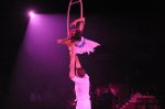 2012_03_01__03488.jpg