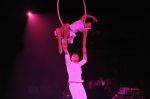 2012_03_01__03489.jpg