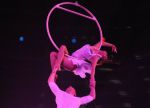 2012_03_01__0351000.jpg