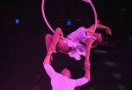 2012_03_01__03510000.jpg