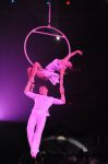 2012_03_01__03512.jpg