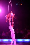 2012_03_01__03514.jpg