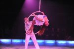 2012_03_01__03528.jpg
