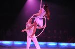 2012_03_01__03529.jpg