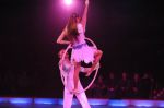 2012_03_01__03530.jpg