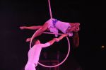 2012_03_01__03535.jpg