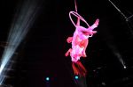 2012_03_01__03631.jpg