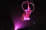 2012_03_01__03634.jpg