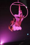 2012_03_01__036340.jpg