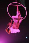 2012_03_01__0363400.jpg