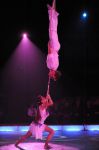 2012_03_01__03649.jpg