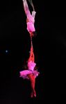 2012_03_01__03652.jpg