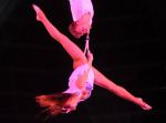 2012_03_01__036560.jpg