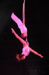 2012_03_01__03657.jpg