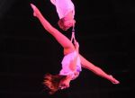 2012_03_01__036570.jpg