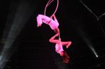 2012_03_01__03661.jpg