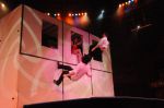 2012_03_01__03826.jpg