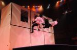 2012_03_01__03828.jpg