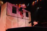 2012_03_01__03838.jpg