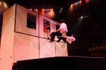 2012_03_01__03849.jpg