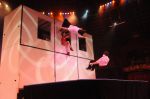 2012_03_01__03859.jpg