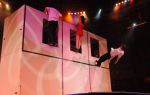 2012_03_01__03885.jpg
