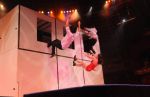2012_03_01__03891.jpg
