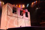 2012_03_01__03892.jpg