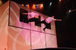 2012_03_01__03938.jpg