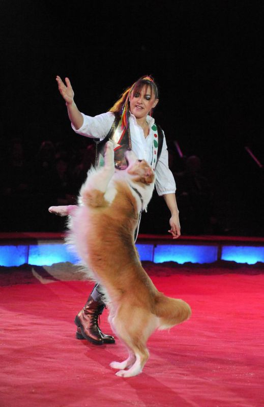 2012_12_25_00847.jpg