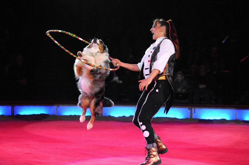 2012_12_25_00956.jpg