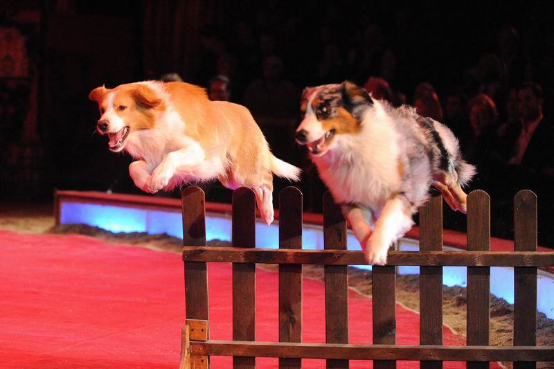2012_12_25_01023.jpg