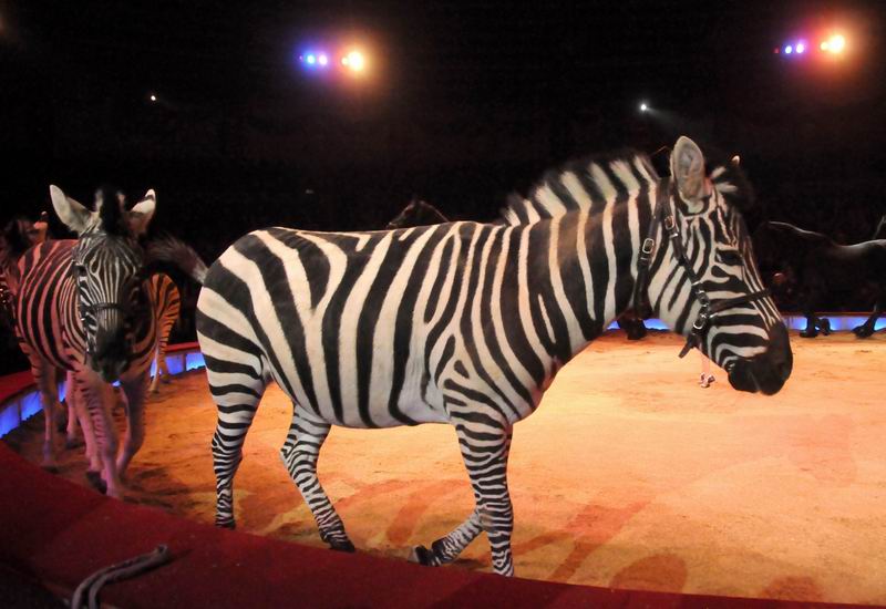 2012_12_25_02084.jpg