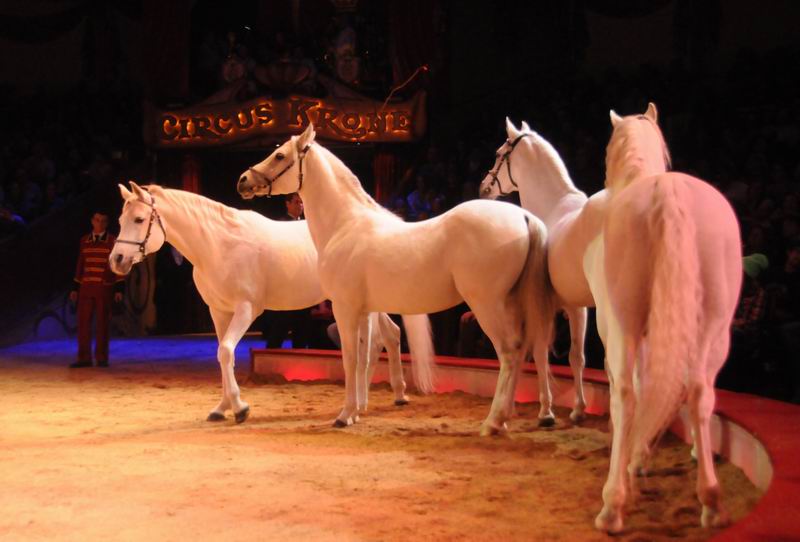 2012_12_25_02142.jpg