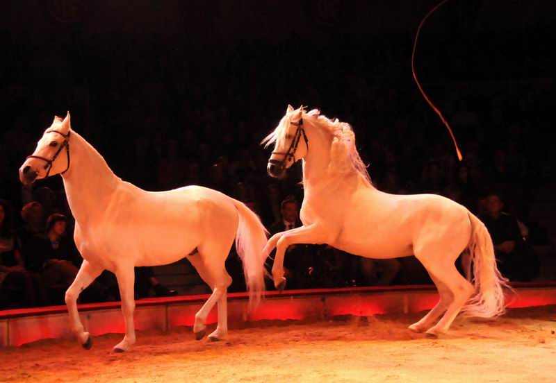 2012_12_25_02158.jpg