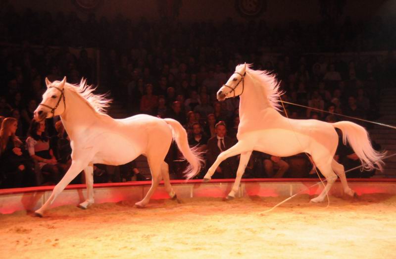 2012_12_25_02232.jpg