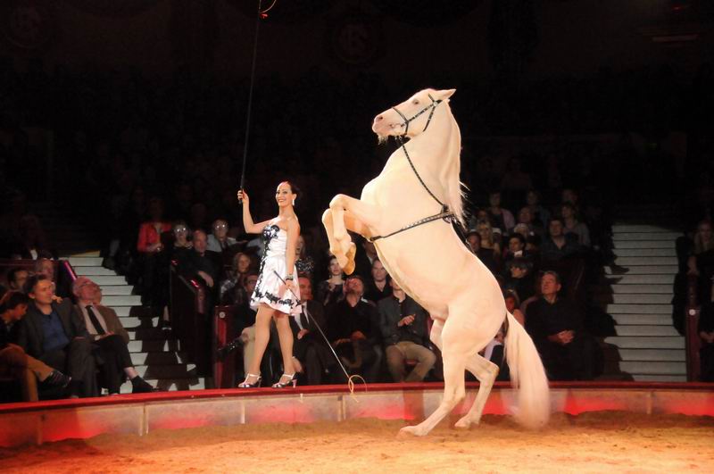 2012_12_25_02276.jpg
